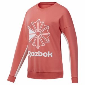 Reebok Classic French Terry Big Logo Crew Sweatshirt Damen - HellRosa - DE 819-ZMK